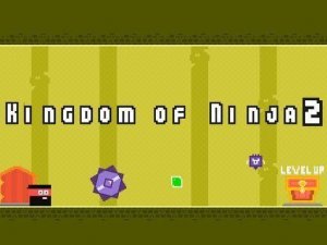 Kingdom of Ninja 2: Puzzle Adventure Game