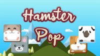 Hamster Match Puzzle