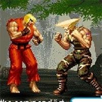 Street Fighter Flash Action Game