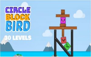 Block Bird Physics Puzzle