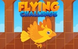 Sky Bird Arcade Puzzle