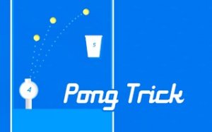 Precision Catch Challenge