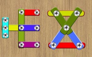 Fastener Sort: Pin Puzzle